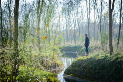 natuurbegraafplaats-nieuwehorne