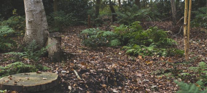 Eeuwige grafrust in harmonie met de natuur